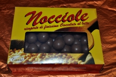 NOCCIOLE RIC CIOCC LATTE G 250 ART 017